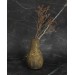 Краска декоративная "Ржавчина" Artmetals Loftstyle с металлическим пигментом, 100мл