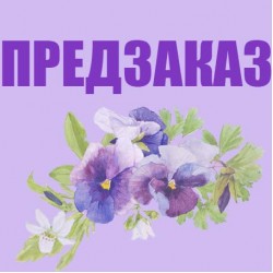 Предварительный заказ