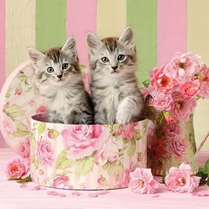 Салфетка для декупажа "Котята в коробке" бумажная, 13312890, 33х33 см