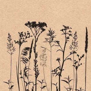 Салфетка для декупажа "Травы и цветы чёрные" бумажная, 13315210, 33х33 см