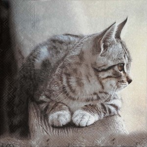 Салфетка для декупажа "Кот Барсик" бумажная IHR-336, 33х33 см