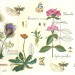Салфетка для декупажа "Цветы botanical" бумажная IHR-369, 33х33 см