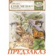 Высеченные элементы - наклейки DFLCT081 "All Around" Stamperia