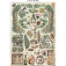 Набор Junk Journal SBJK09 "HERBARIUM SILVAE" Stamperia, А4